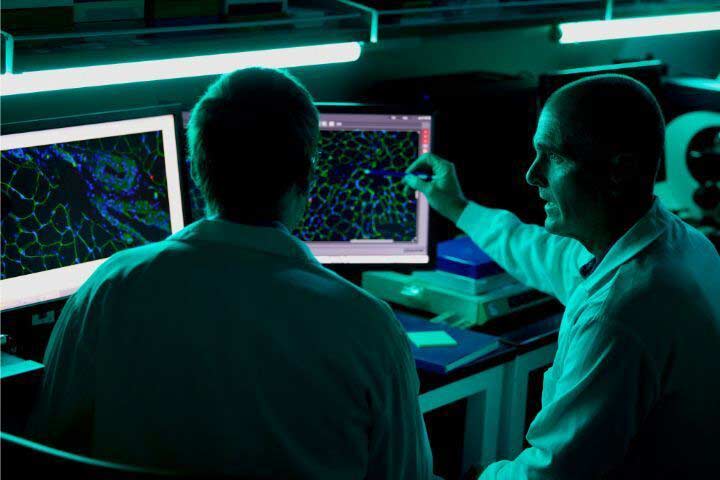 Electronic brain and Concept of artificial intelligence